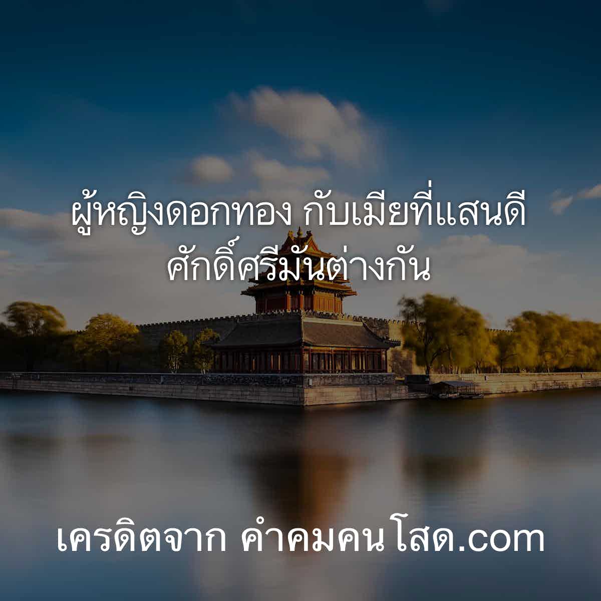 คำคมคนโสดโดนๆสั้นๆ 2017: สร้างปลุกปั่นความรักในชีวิตวัยรุ่น -  Thcsvinhmy.Edu.Vn